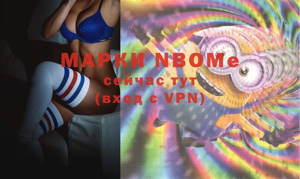 прущие грибы Белоозёрский