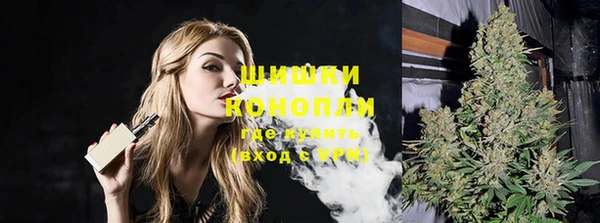 прущие грибы Белоозёрский