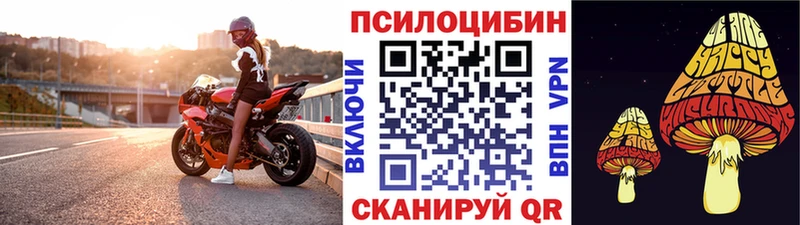 Псилоцибиновые грибы Psilocybe  Купить  Анива 